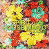 DJ Fist Spirit of House Music, Vol. 1