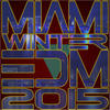 Massimo Santucci Miami Winter EDM 2015