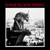 Current 93 Dogs Blood Rising (Remastered)