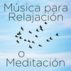 RICHARD CLAYDERMAN Música para Relajación o Meditación: 30 Canciones