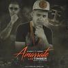 The Almighty Amarrate Las Timber (feat. Farruko) - Single