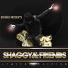 Shaggy Shaggy & Friends