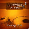 Ravi Shankar Amazing India (Instruments of India)