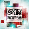 Brown Sugar Sounds of Life - Progressive House Collection, Vol. 8