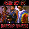 Neville Brothers Brothers from New Orleans