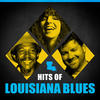 Sonny Landreth Hits of Louisiana Blues