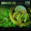 Salmonella Dub Salmonella Dub Live In Concert With the NZSO (Feel The Seasons Change)