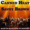 Savoy Brown Canned Heat & Savoy Brown Back To Back Hits In Concert