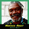Andy Horace Super Best