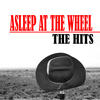 Asleep At The Wheel The Hits