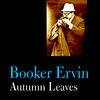 Booker Ervin Autumn Leaves