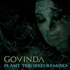 GOVINDA Plant the Seed Remixes