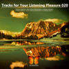 orange Tracks for Your Listening Pleasure 020