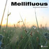 Wayward Brothers Mellifluous - Single