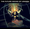 The Future Sound Of London From the Archives Volume 3