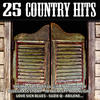 Crystal Gayle 25 Country Hits