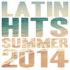 Evidence Latin Hits Summer 2014
