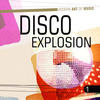 Doobie Brothers Modern Art of Music: Disco Explosion, Vol. 1