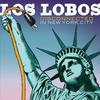 Los Lobos Disconnected In New York City (Live)