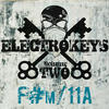 Stanton Warriors Electro Keys F#m/11a Vol 2