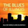 Mike Bloomfield The Blues of Illinois