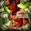 Spike Whole Lotta Money - Single