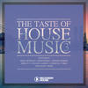 Mike Newman The Taste of House Music, Vol. 3