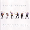 David Wilcox Rhythm of Love