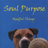Soul Purpose Needful Things