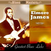 Elmore James Greatest Blues Licks
