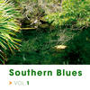 Elmore James Southern Blues, Vol. 1