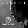Gabriel Notes for Life