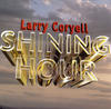 Larry Coryell Shining Hour