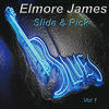 Elmore James Slide and Pick