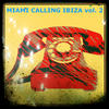 DJ Matrix Miami Ibiza Calling, Vol. 2 (30 Hits Edm for Djs)