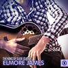 Elmore James The King of Slide Guitar: Elmore James