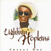 Lightnin` Hopkins Shaggy Dog