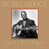 Big Bill Broonzy Essential Blues Masters
