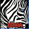 Zebra Zebra IV