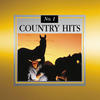 Freddy Fender #1 Country Hits (Re-recorded Version)