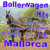 Point Bollerwagen Hits (Mallorca)