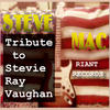 Steve Mac Tribut to Stevie Ray Vaughan - Single