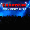 Andrew Gold Essential Concert Hits