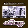 Kindred Live from Under the Icehouse