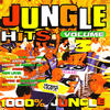 splash Jungle Hits Volume. 3