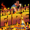 Tommy Lee Hot Like Fire - Single