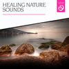 Mike Rowland Healing Nature Sounds