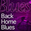 Elmore James Back Home Blues