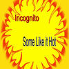 Incognito Some Like it Hot