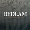 Bedlam Live In Binghampton 1974 (Live)
